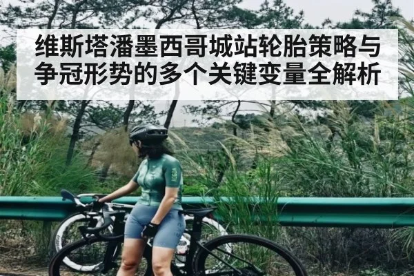 维斯塔潘墨西哥城站轮胎策略与争冠形势的多个关键变量全解析（kaiyun）